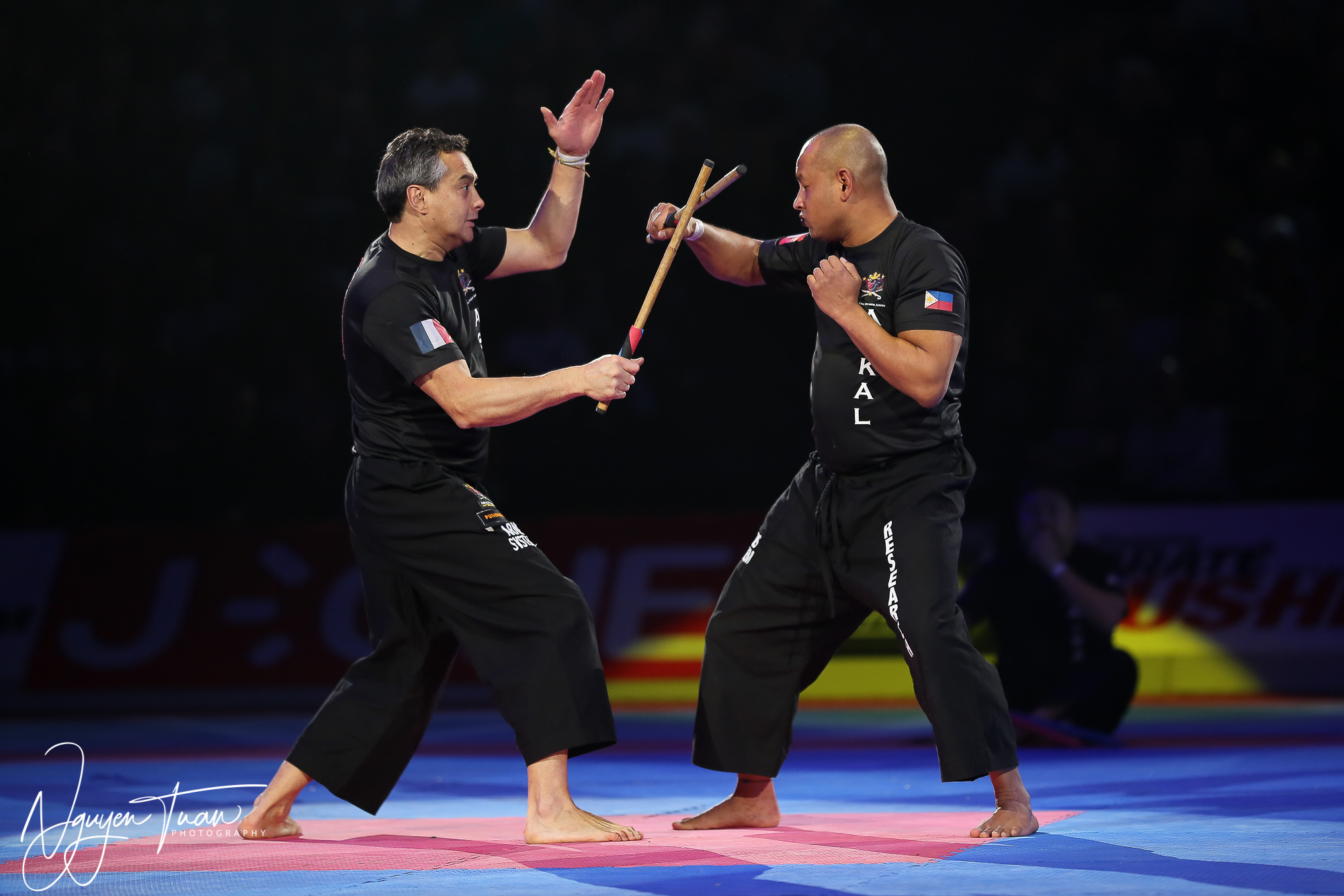 20190324 Festival des Arts Martiaux 4893